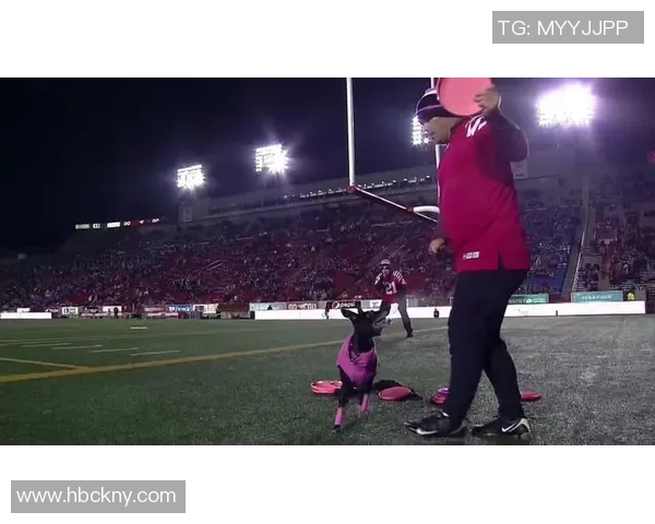 南京飞盘队区域防守分析与战术调整探讨