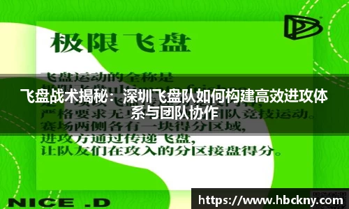 飞盘战术揭秘：深圳飞盘队如何构建高效进攻体系与团队协作