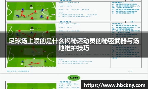 足球场上喷的是什么揭秘运动员的秘密武器与场地维护技巧